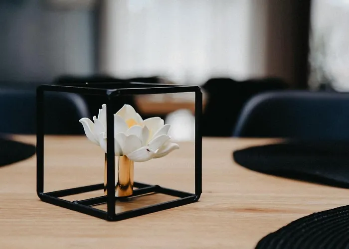 Hotel Hotel Vesiroos *